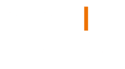 313X Logo